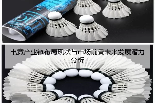 电竞产业链布局现状与市场前景未来发展潜力分析