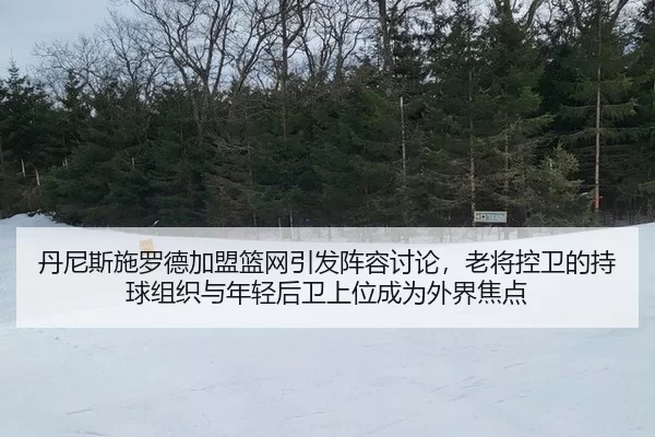 丹尼斯施罗德加盟篮网引发阵容讨论，老将控卫的持球组织与年轻后卫上位成为外界焦点