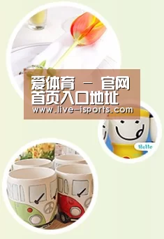 关于爱体育